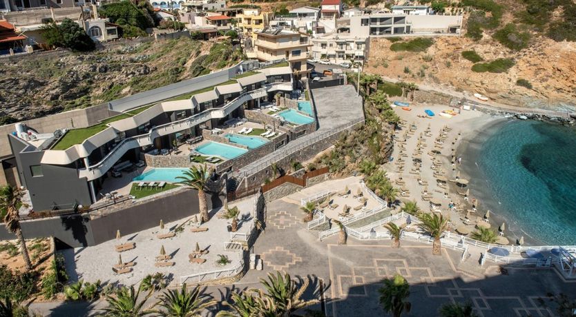 Photo of Moonlight Muse