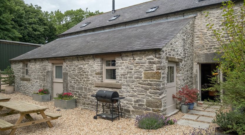 Photo of A Modern Character