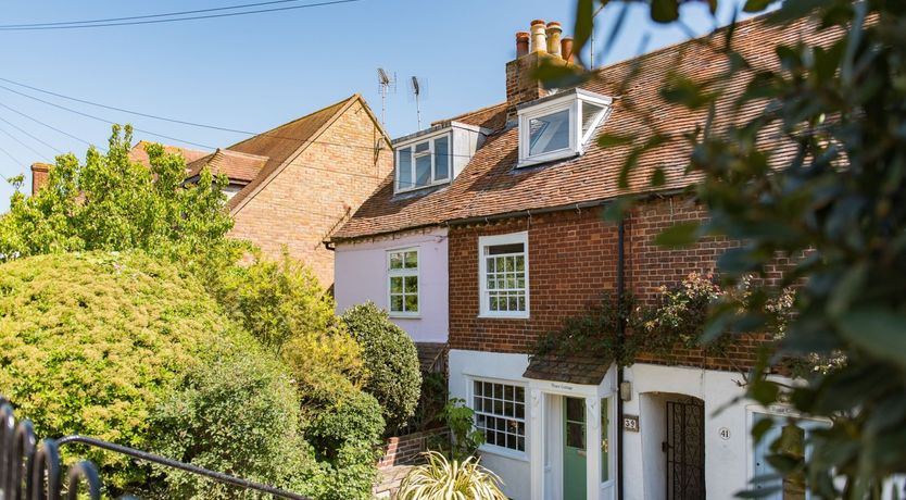 Photo of Oysters Can Dream