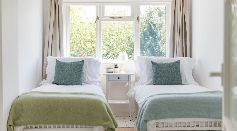 Photo of Oysters Can Dream