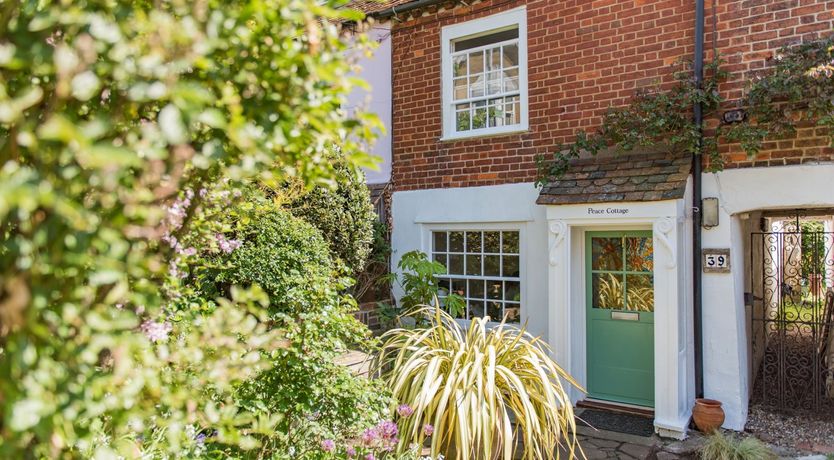 Photo of Oysters Can Dream