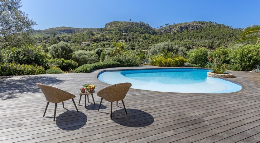 Photo of The Orange Blossom