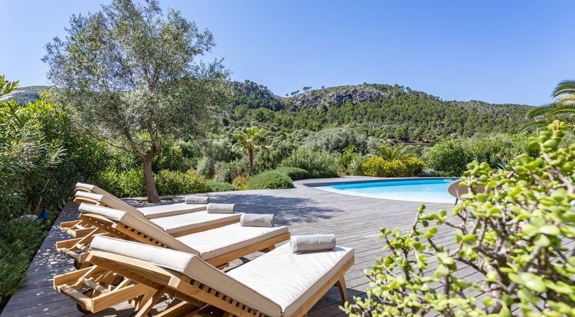 Photo of The Orange Blossom