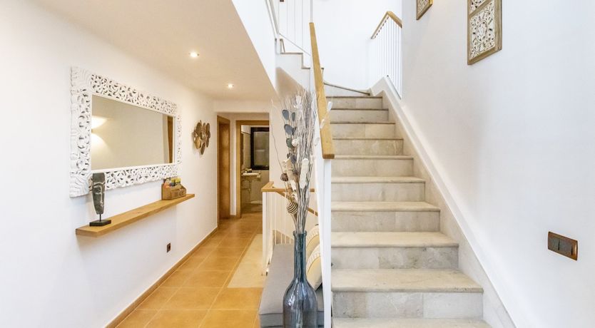 Photo of The Orange Blossom