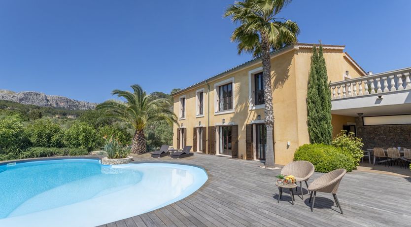 Photo of The Orange Blossom