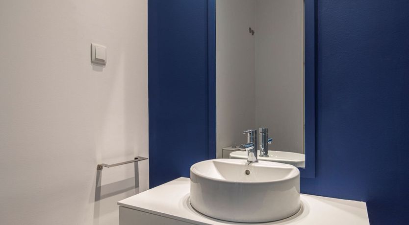 Photo of Bold in Blue