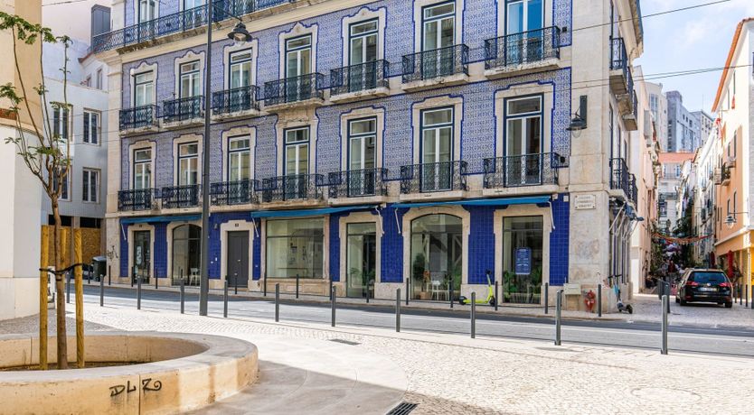 Photo of Bold in Blue