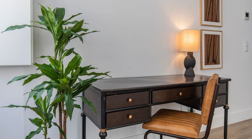 Photo of Bold in Blue