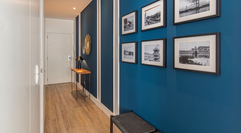 Photo of Bold in Blue