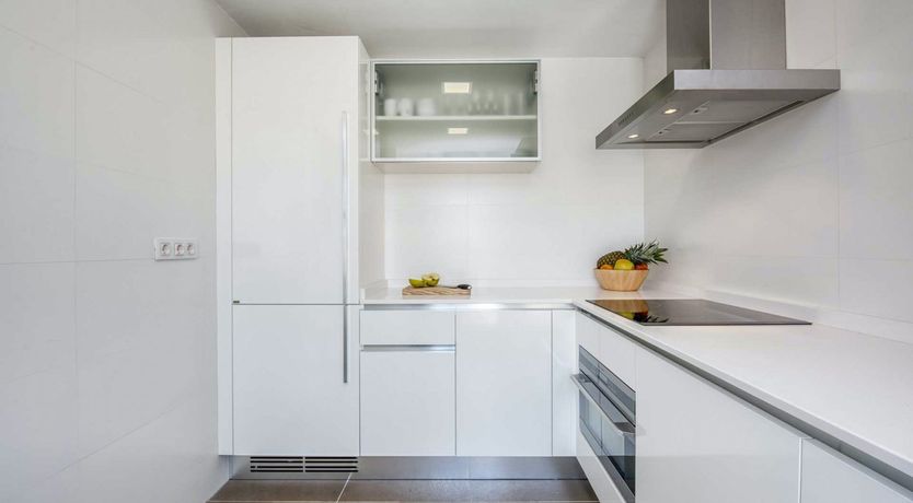 Photo of Star in the Sky