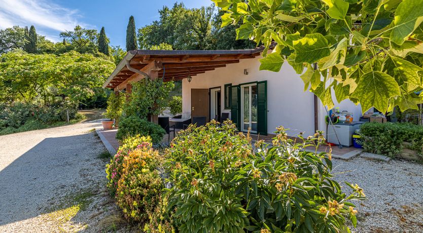 Photo of Zen in The City