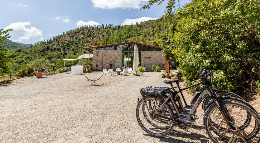 Photo of Rustic Honey