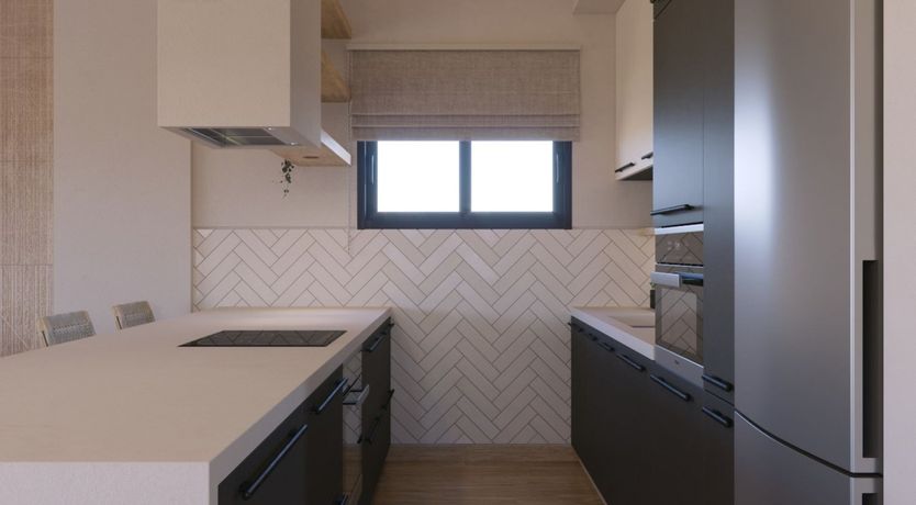 Photo of The Blue Iris