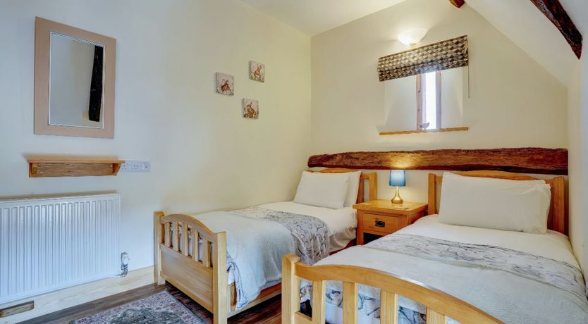 Photo of Daydream For Dogs