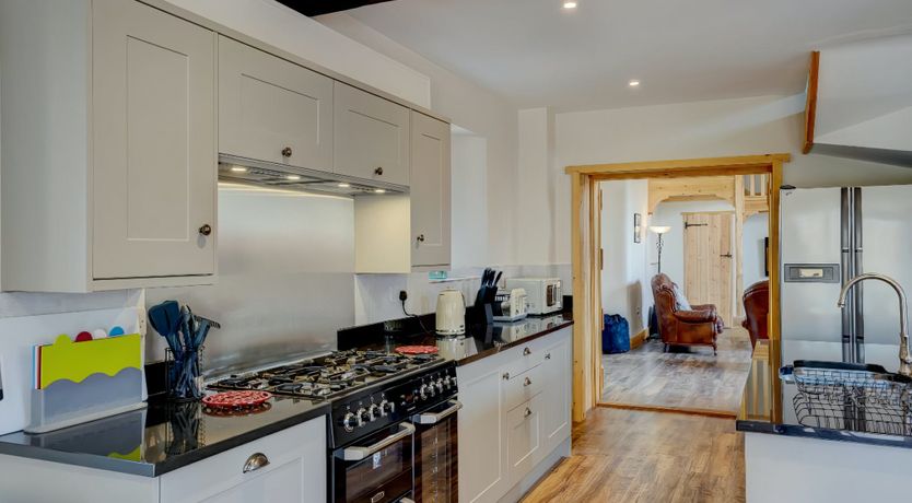 Photo of Daydream For Dogs