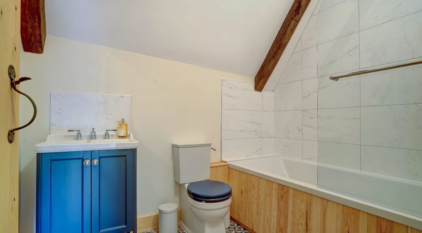 Photo of Daydream For Dogs