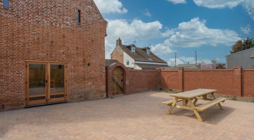 Photo of Daydream For Dogs