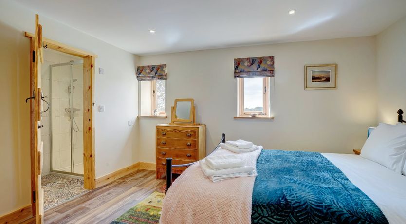 Photo of Daydream For Dogs