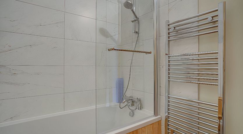 Photo of Daydream For Dogs