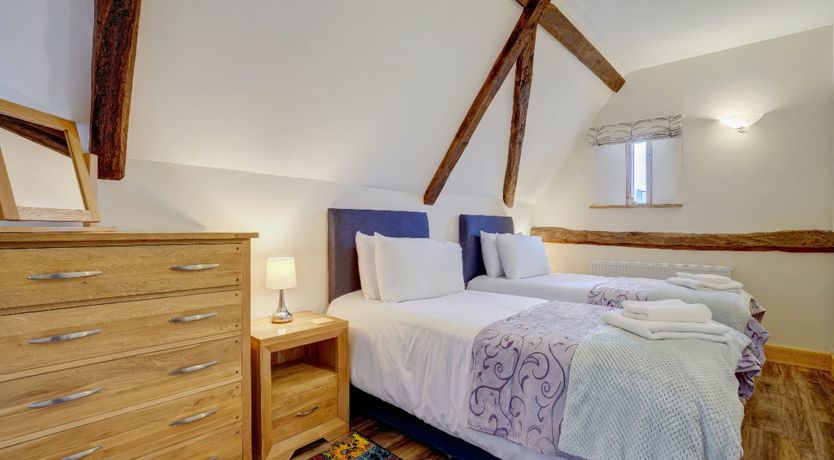 Photo of Daydream For Dogs