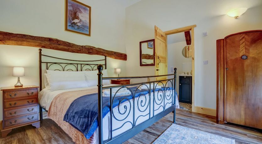 Photo of Daydream For Dogs