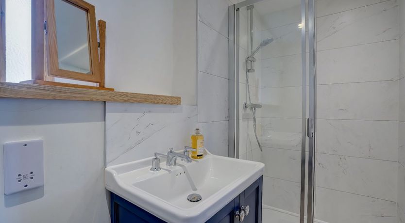 Photo of Daydream For Dogs