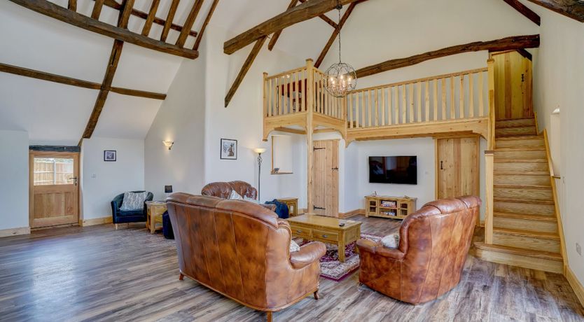 Photo of Daydream For Dogs