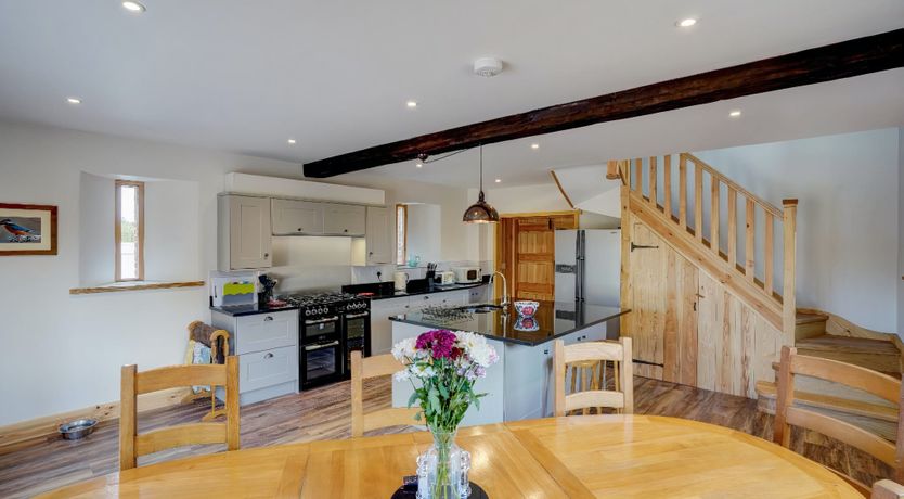 Photo of Daydream For Dogs