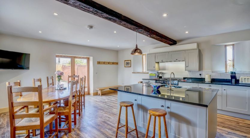 Photo of Daydream For Dogs