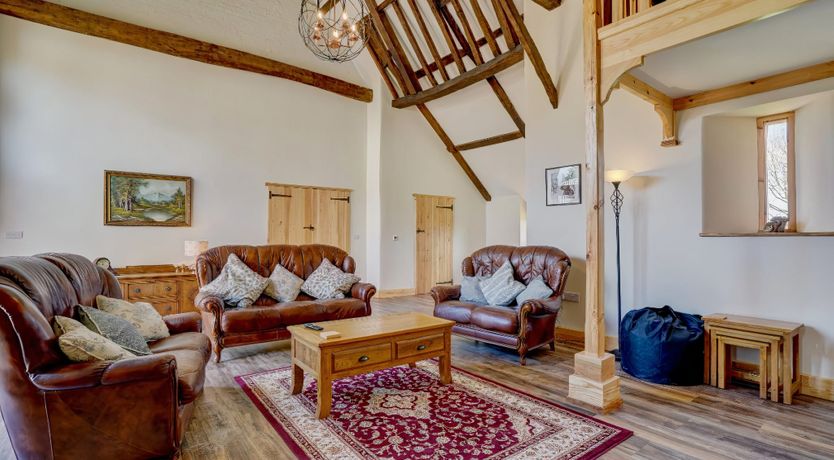 Photo of Daydream For Dogs