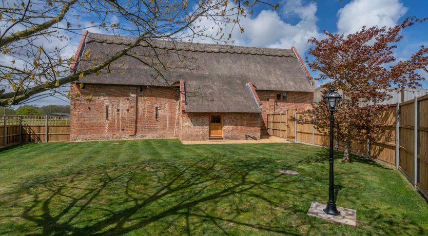 Photo of Daydream For Dogs