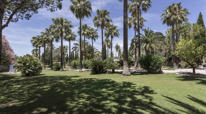 Photo of Your Algarve Oasis