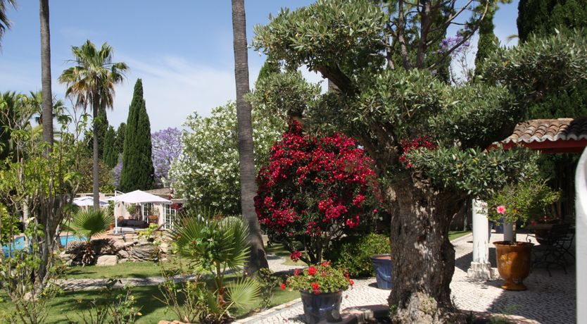 Photo of Your Algarve Oasis