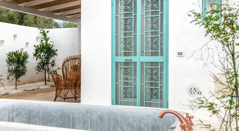 Photo of Cicadas in the Trees