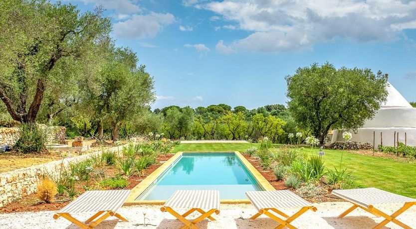 Photo of Cicadas in the Trees