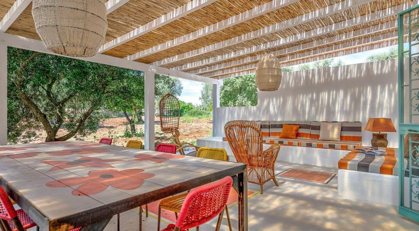 Photo of Cicadas in the Trees