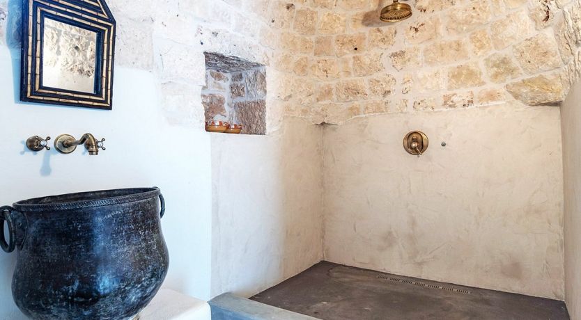 Photo of Cicadas in the Trees