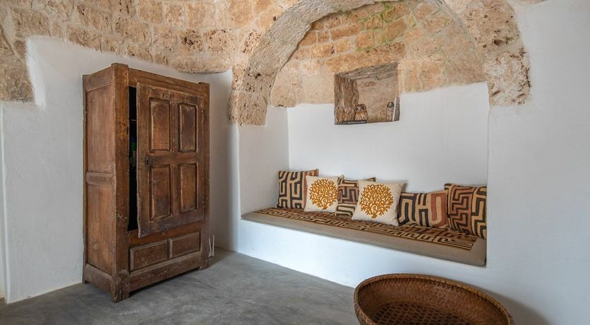 Photo of Cicadas in the Trees