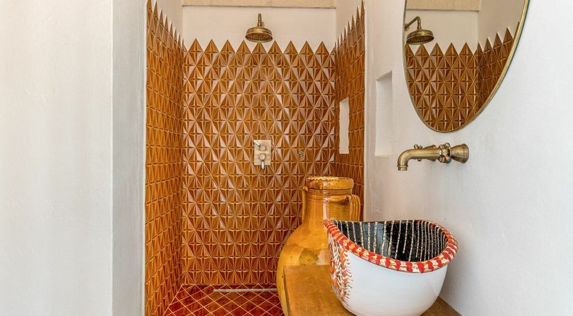 Photo of Cicadas in the Trees