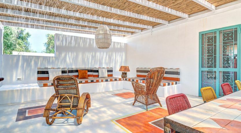 Photo of Cicadas in the Trees