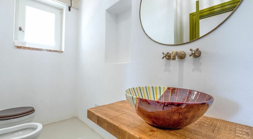 Photo of Cicadas in the Trees