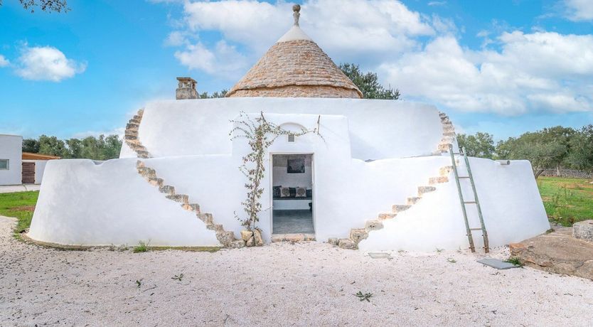 Photo of Cicadas in the Trees