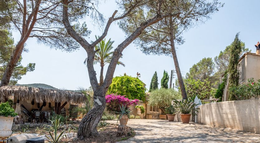 Photo of Catalonian Bloom