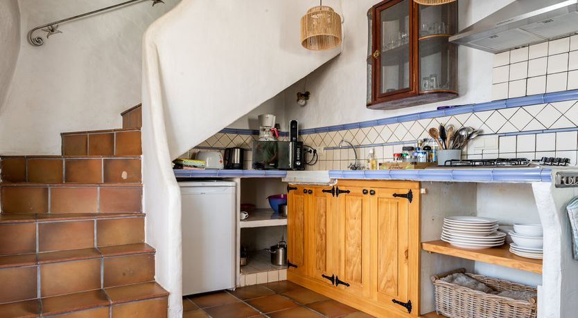 Photo of Catalonian Bloom