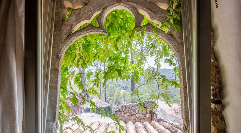 Photo of Catalonian Bloom