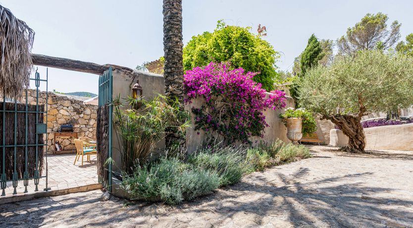 Photo of Catalonian Bloom