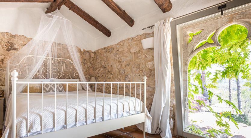 Photo of Catalonian Bloom