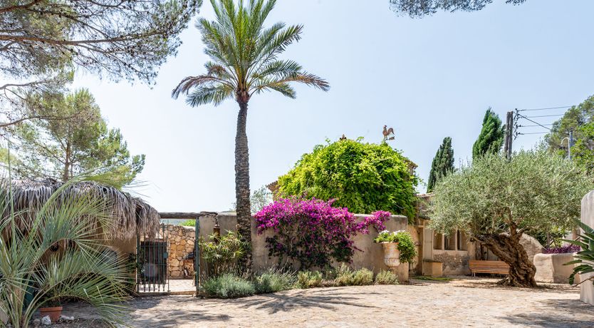 Photo of Catalonian Bloom