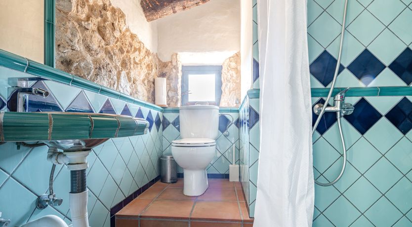 Photo of Catalonian Bloom