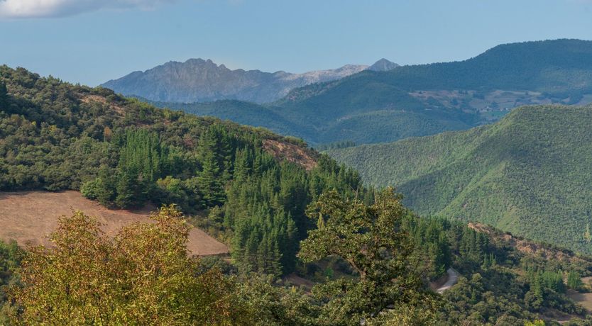 Photo of Rustic Heaven